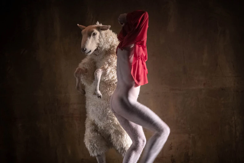 The Sheep Song C Kurt Van der Elst